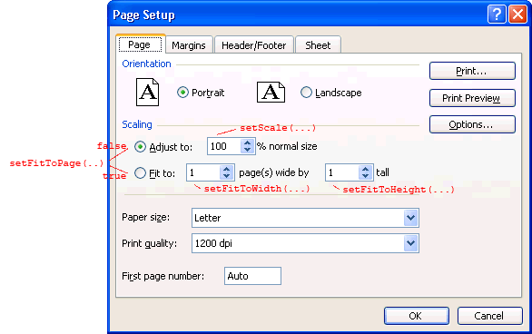 08-page-setup-scaling-options.png